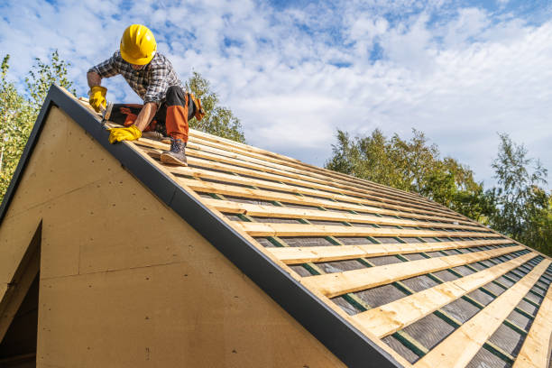 Best Roof Gutter Cleaning  in Canton, NC