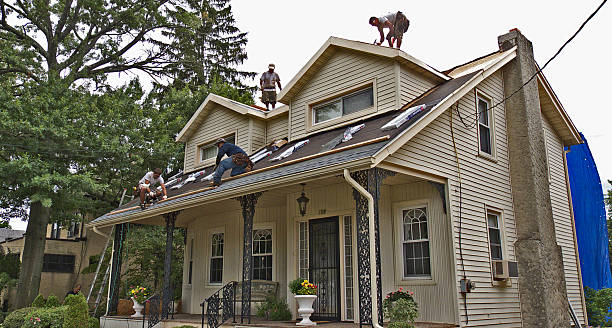 Best Gutter Installation and Roofing  in Canton, NC